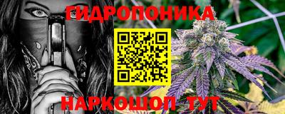 твердый Будённовск