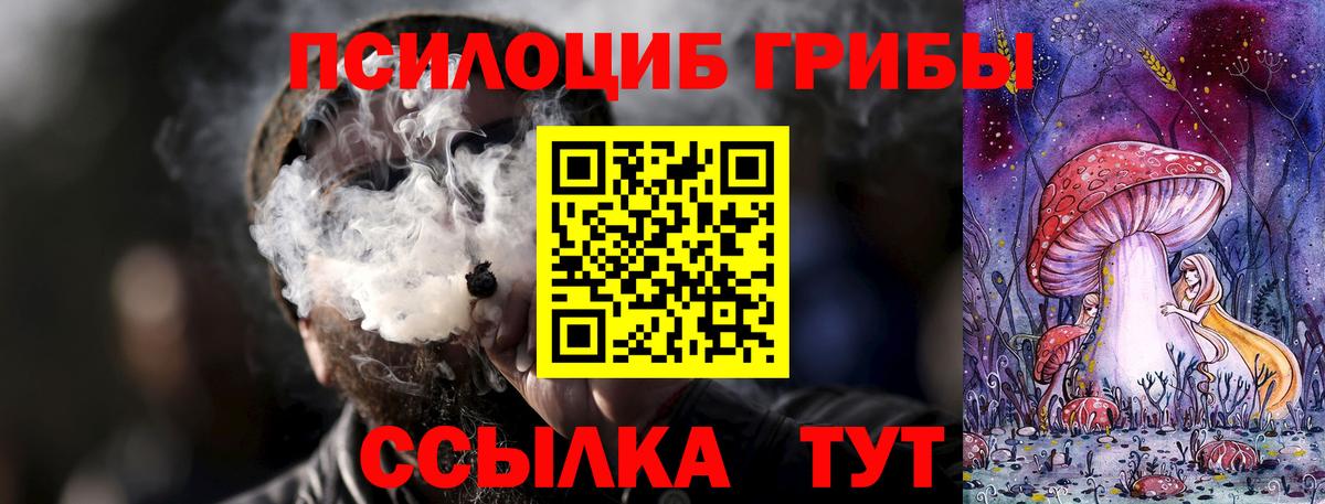как найти наркотики  Вход с VPN  Галлюциногенные грибы Magic Shrooms  Кохма  Галлюциногенные грибы мухоморы 